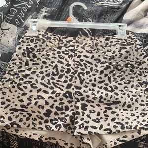 Animal Print Shorts
